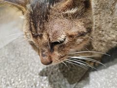 -广州绿地中央广场