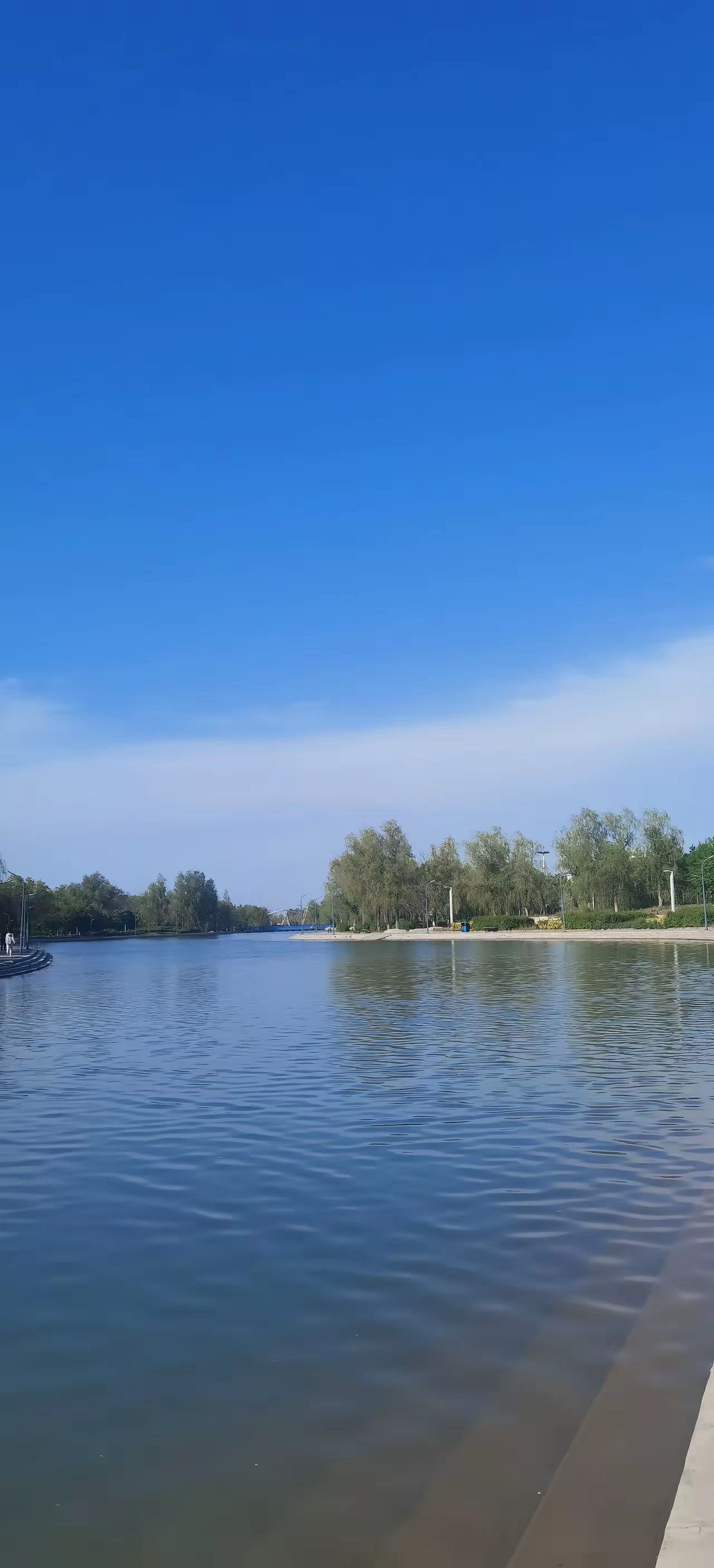 周末湖边垂钓的惬意