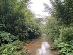-四洞沟景区