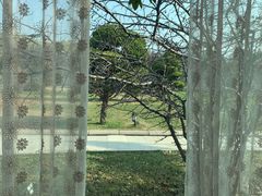 -石家庄市植物园