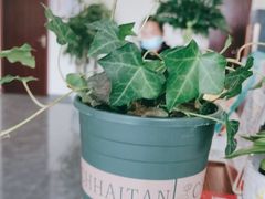 -张钰强中医正骨推拿连锁(唐家人才公寓店)