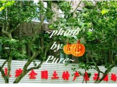 -上海全国土特产食品商场(淮海中路店)
