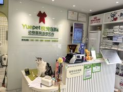 -悦宠动物医院(京丰分院)