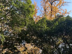 -灵谷景区