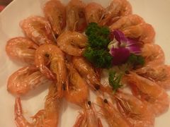 -沈阳丽都酒店