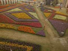 -上海浦江郊野公园-2号停车场