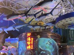 -烟台海昌鲸鲨海洋公园