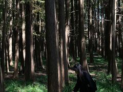 -青山湖景区