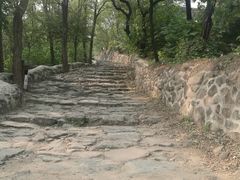 -阳台山自然风景区