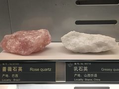 -中国地质博物馆