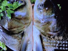 -蛙一刀·麻椒鱼火锅(金仙桥店)