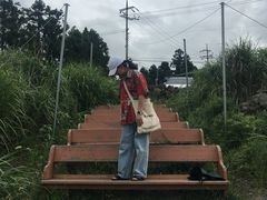 -柑橘农场