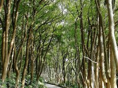 -上海市保健医疗中心(华东疗养院)