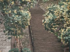 -宝通禅寺