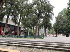 -关林