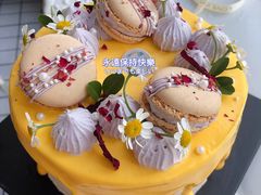 -小苍兰风铃草蛋糕甜品(沈阳店)