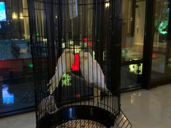 -上海崇明金茂凯悦酒店