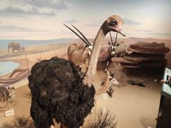 -陕西自然博物馆