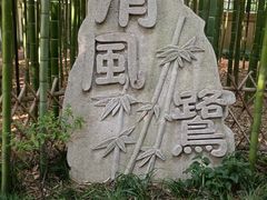 -陈家山荷花公园