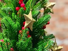 -星巴克(宁波江东天伦店)