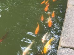 -珠海圆明新园
