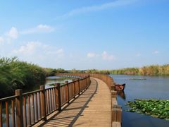 -五甲塘生态湿地公园