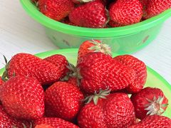 -百果园PAGODA(和泓四季店)