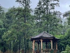 -姑婆山旅游区