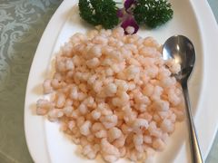 清炒虾仁-新聚丰菜馆(太监弄店)