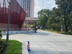 -中国福利会少年宫