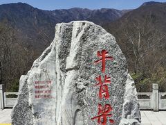 -牛背梁国家森林公园