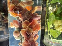 -广东中医药博物馆
