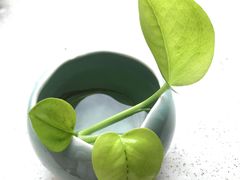 -青韵台陶艺Diy(永庆坊店)