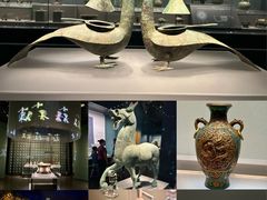 -广西壮族自治区博物馆