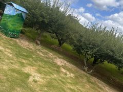 -白马涧龙池景区