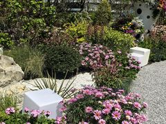 -东方体育中心(地铁站)