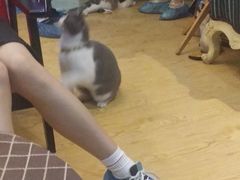 -万小咖.猫咖(中山路天虹店)