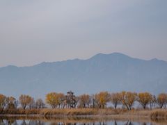 -野鸭湖国家湿地公园