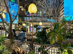 -桂满陇·海市蜃楼·黑金(国金店)