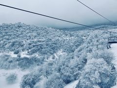 -太子岭滑雪场