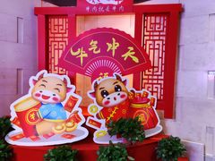 -秦风肥牛(阳阳国际店)