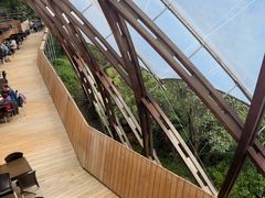 -怀托摩萤火虫洞