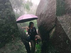-火炉山森林公园