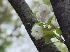 -敬亭山风景名胜区