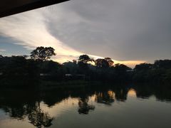 -河川生态园