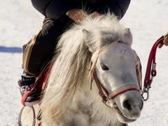 -丝绸之路山地度假区滑雪场