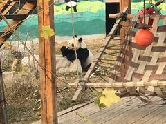 -临沂动植物园