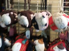 -猫咪博物馆(顶澳仔猫街店)