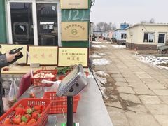 -大自然农场蔬菜草莓采摘园