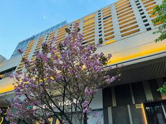 -中海环宇荟